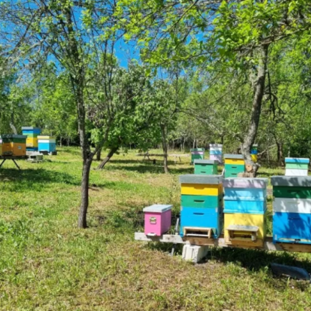 Miere de albine 100% naturala