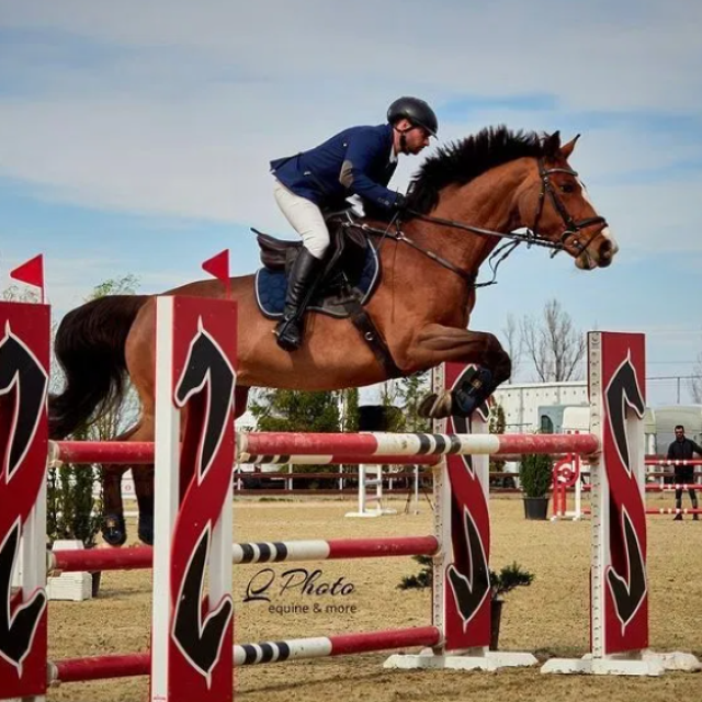 Lecții de echitație și pensiune pentru cai Cluj Napoca